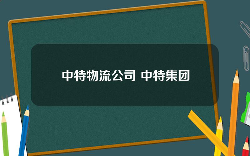 中特物流公司 中特集团